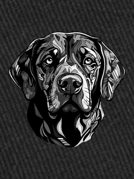 Labrador Dog Head