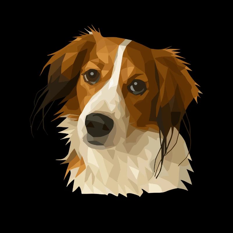 Kooikerhondje im Polygon Style