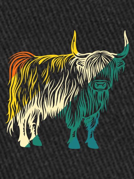 Bovins vaches Bovins Highland