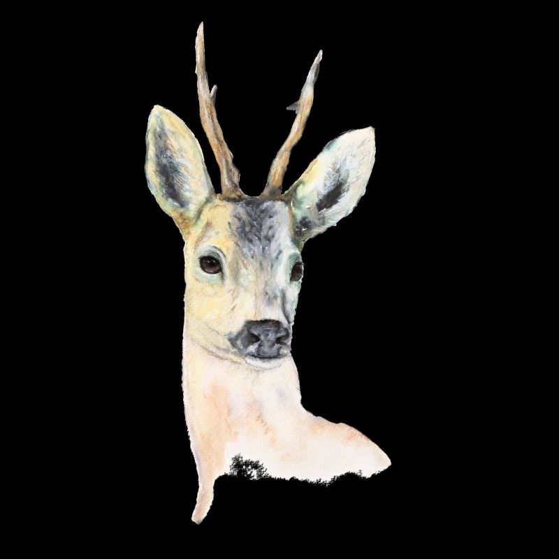 Deer 1.0