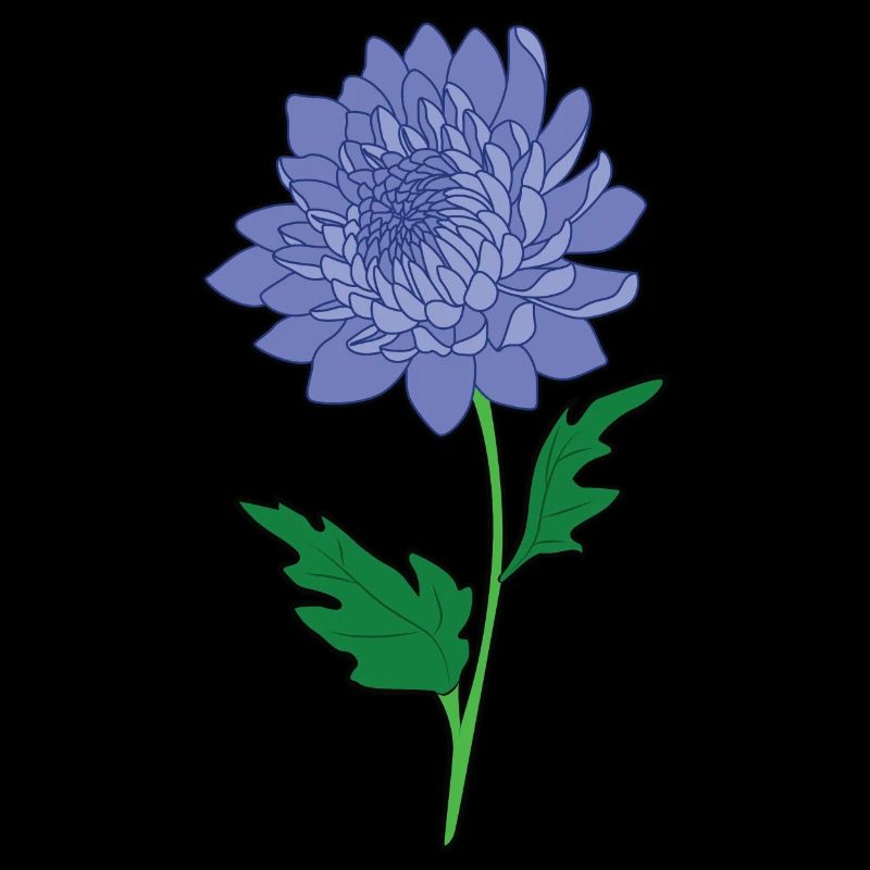 Chrysanthemen