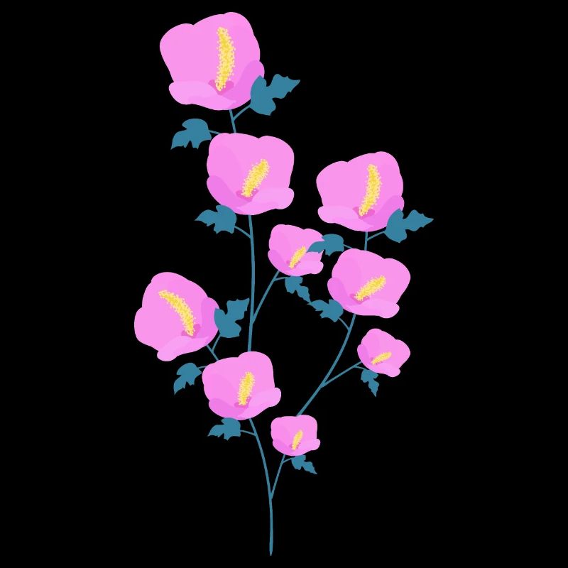 Fleurs d’hibiscus