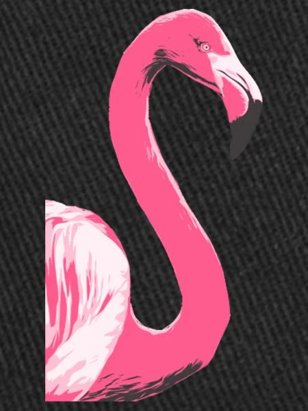 Flamingo Bird Illustration