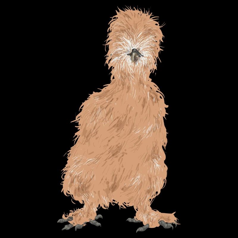 Seidenhuhn Poulet soyeux