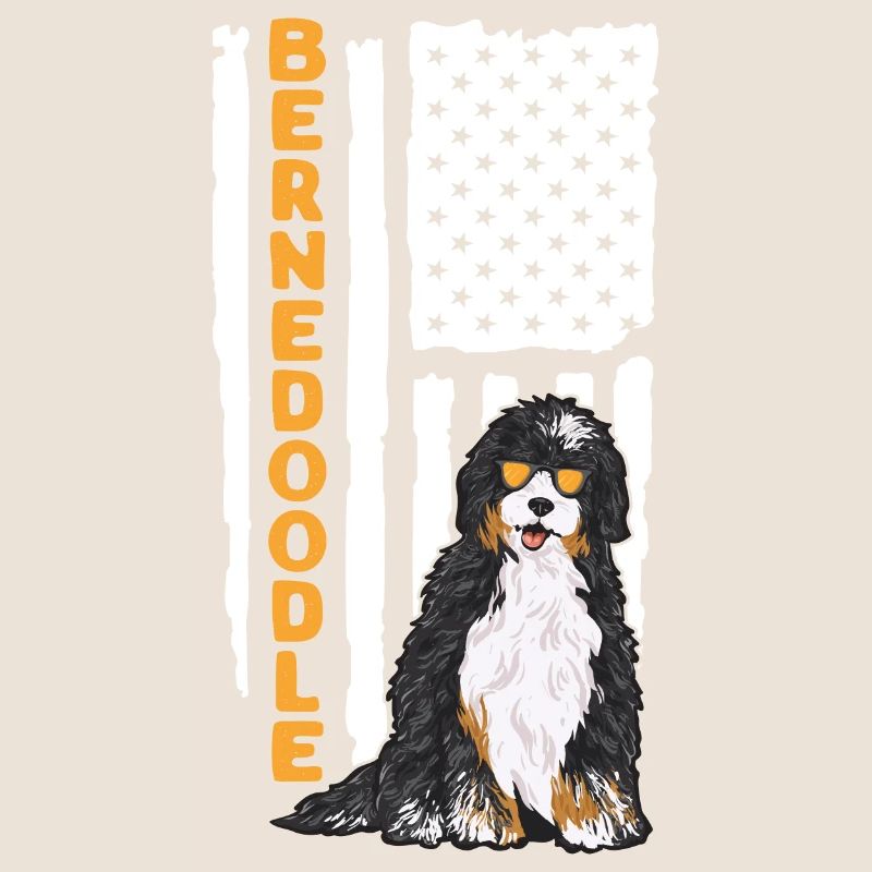 Bernedoodle Hund