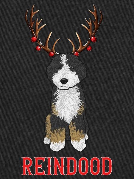 Bernedoodle Dog