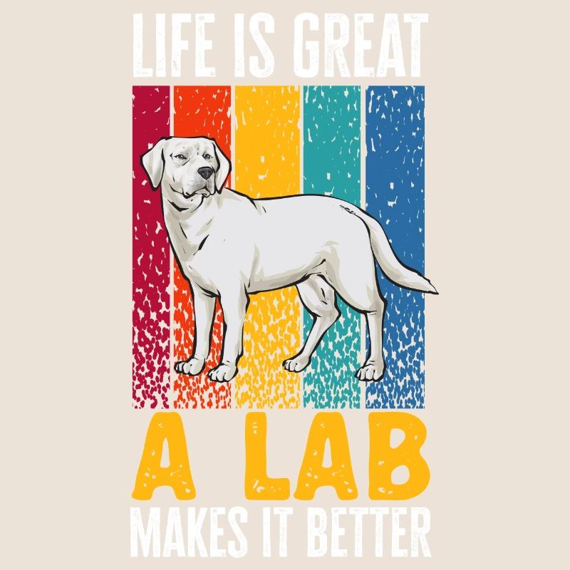 Labrador Retriever blanc Labrador Labrador blanc