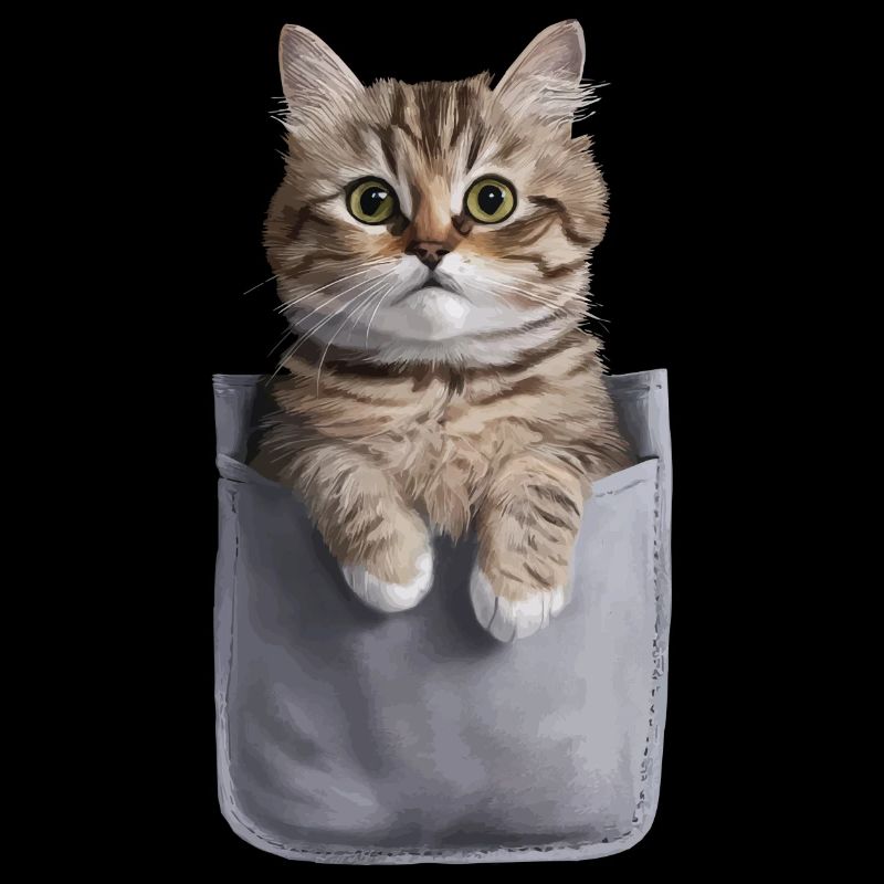 Ragdoll-Katze in der Tasche Geschenk