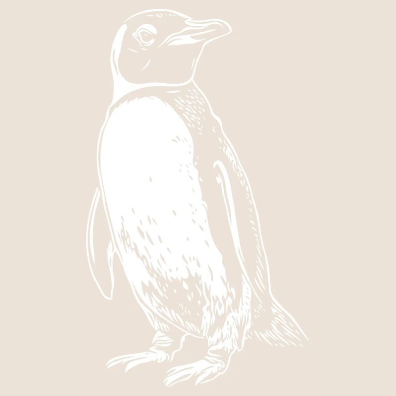 Dessin du pingouin blanc