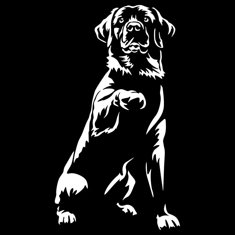 Labrador « Édition Noire »