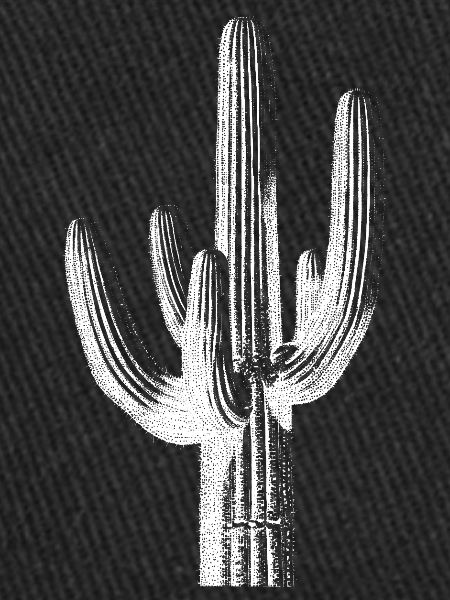 Desert Cactus Line Art