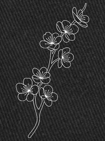 Blossom Lines Cherry Blossoms