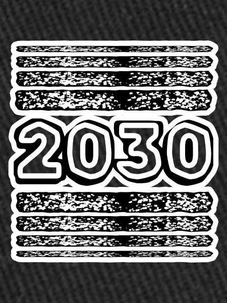 Year 2030