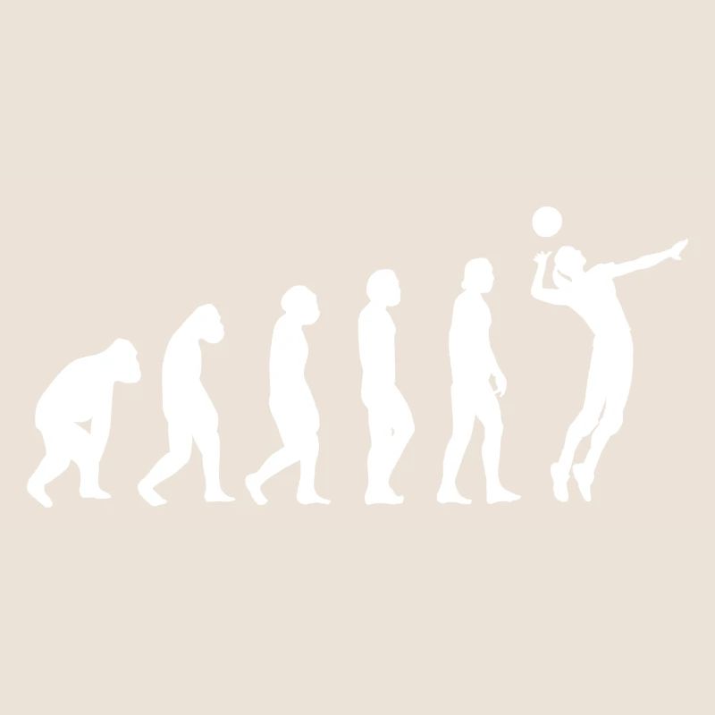 Volley-ball Volleyballs Beach volley Evolution