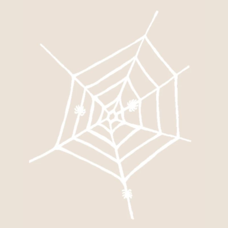 Spider web white