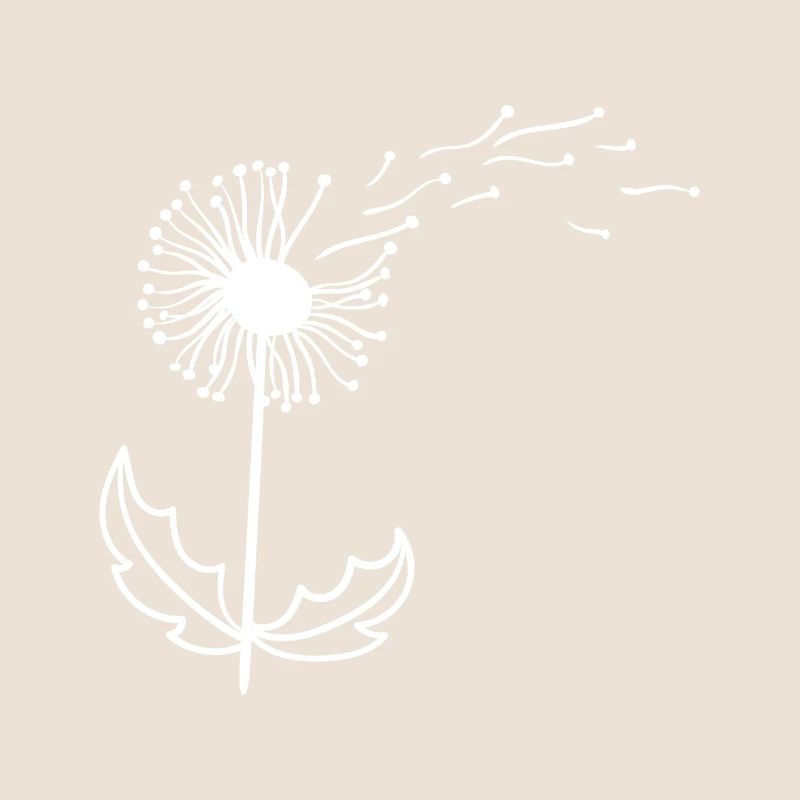 Beautiful dandelion dandelion Dandelion