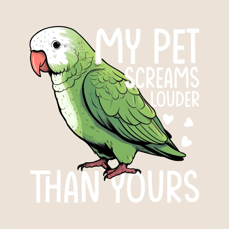 Green Monk Actor Quaker Conure Parrots