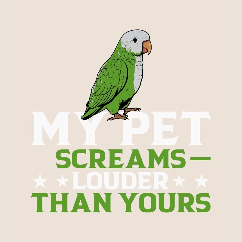 Moine vert Acteur Quaker Conure Perroquets