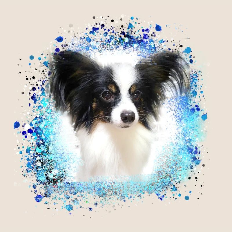 papillon,chien,spitz,zwergspitz,pompon