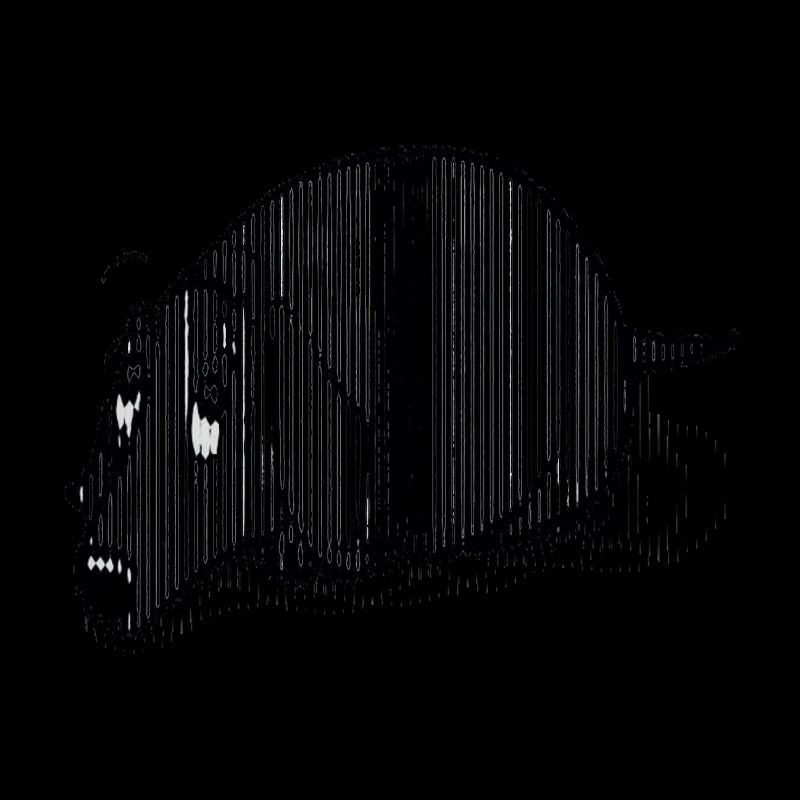 Black Dachshund