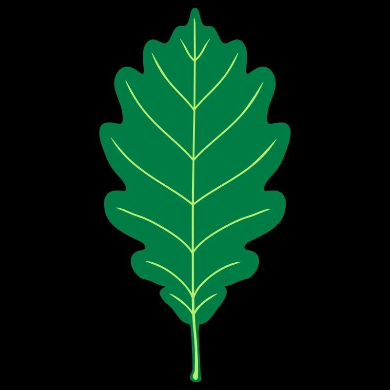 Oak Leaf