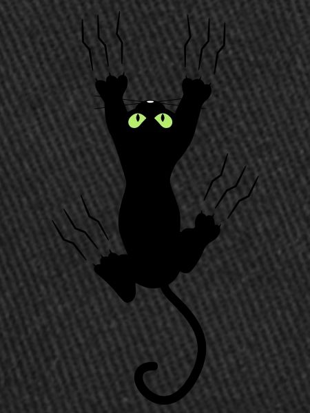 BAD BLACK CAT