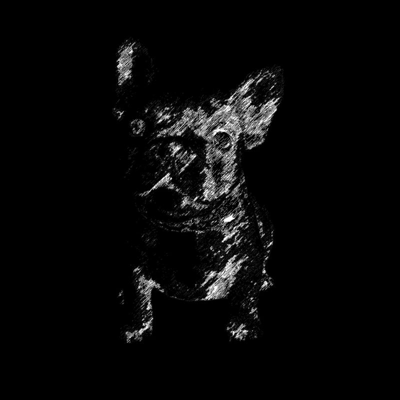 Bouledogue français de l'équipe
