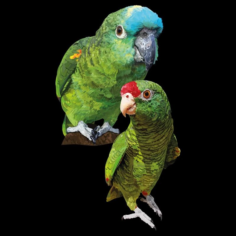 Perroquets amazoniens