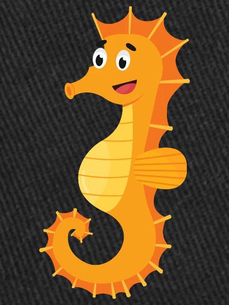 Hippocampes