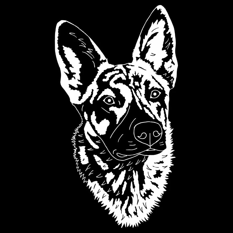 Holländischer Schäferhund
