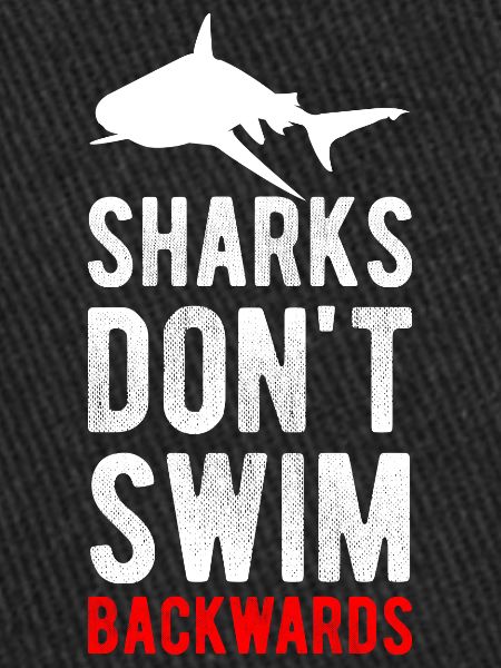 Requin Requin Poisson Eau
