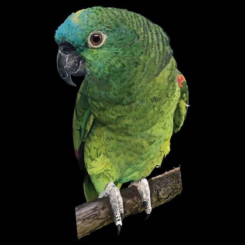 The blue-fronted amazon