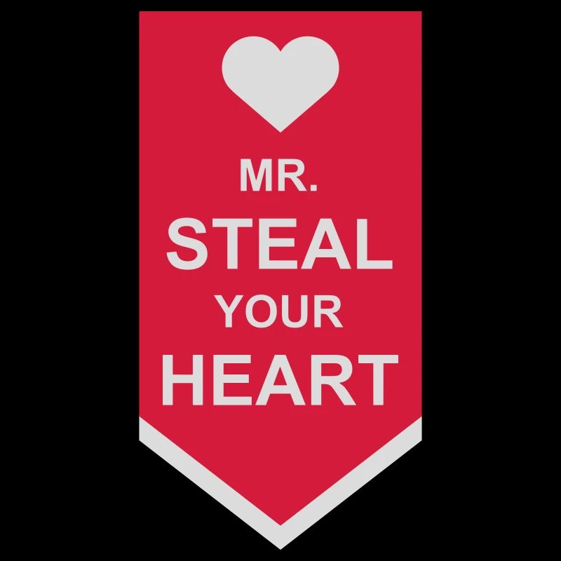 mr steal your heart
