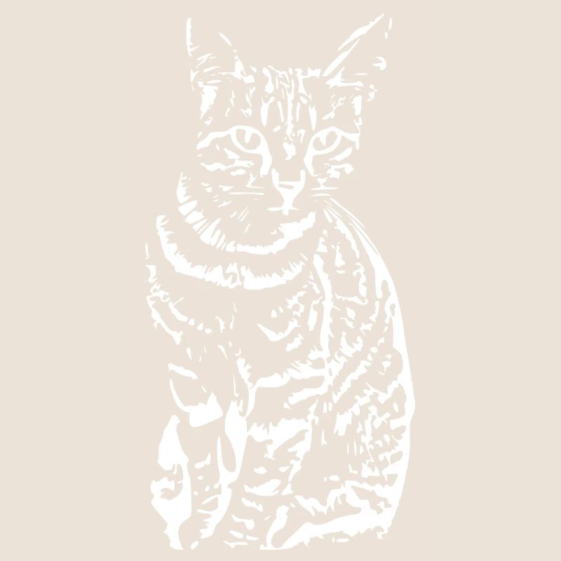 Cat ,Kitten white