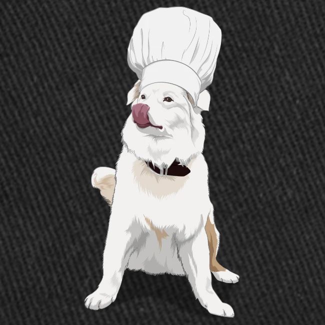 Kushi Chef