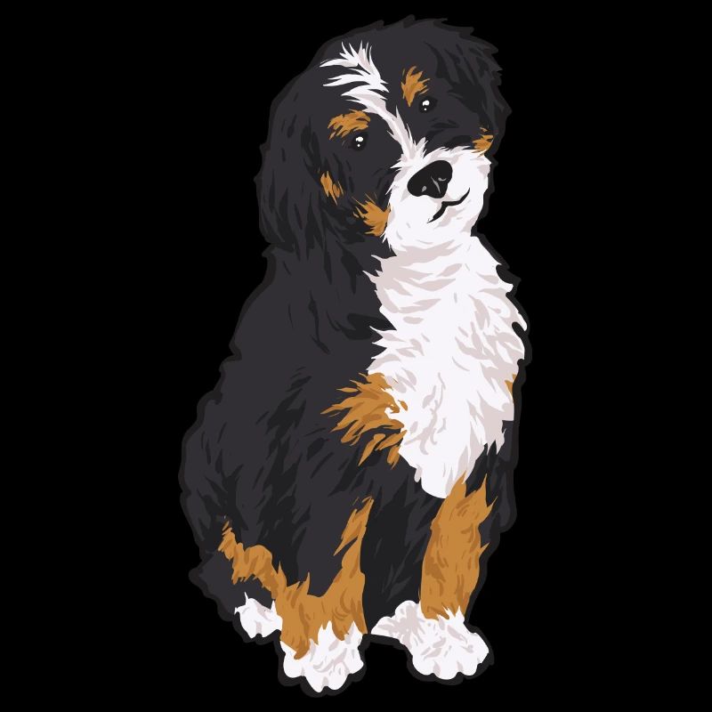 Bernedoodle Hund