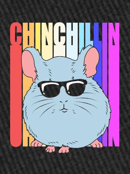 Chinchilla