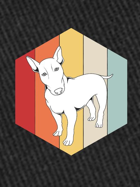 Bull terrier