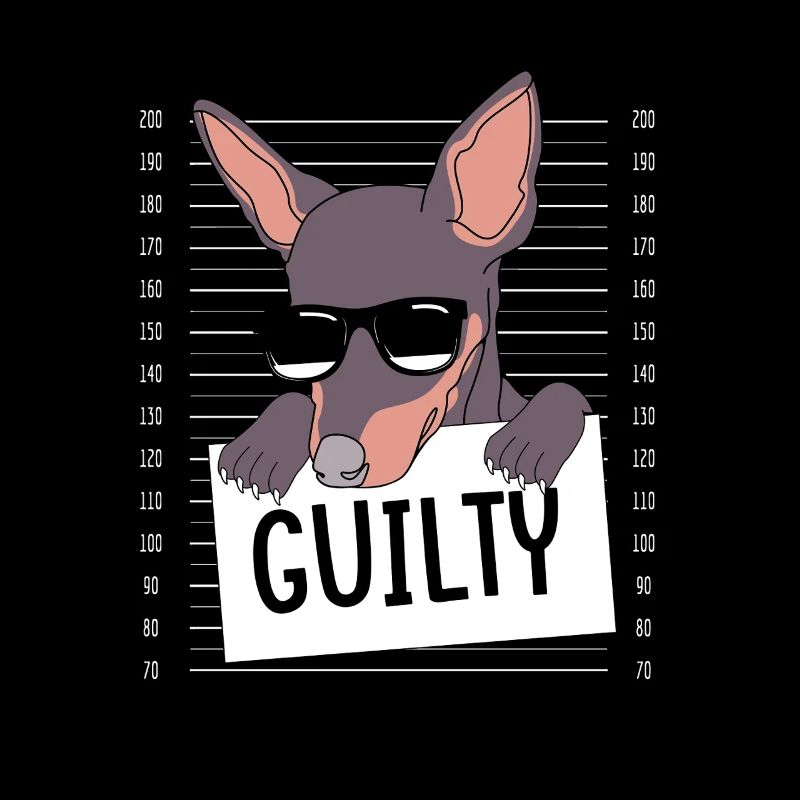 Pinscher nain