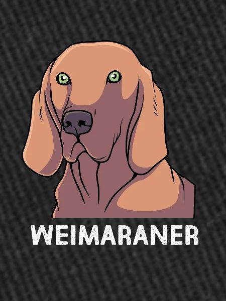 Weimaraner