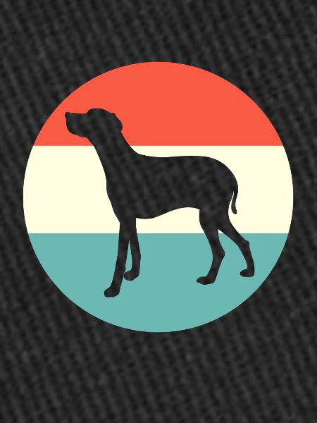 Weimaraner