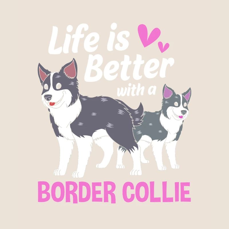 Border Collie