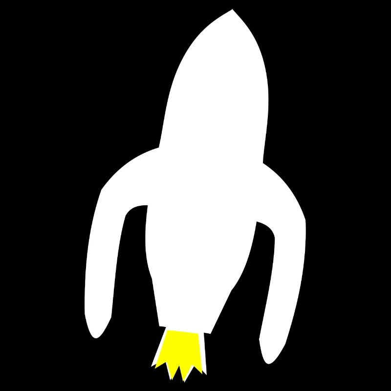 Les pionniers de l’espace