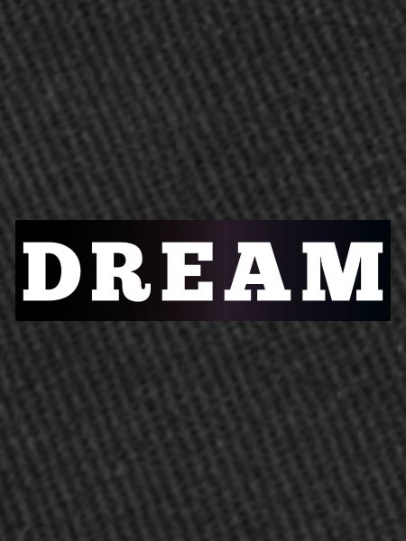 DREAM 5