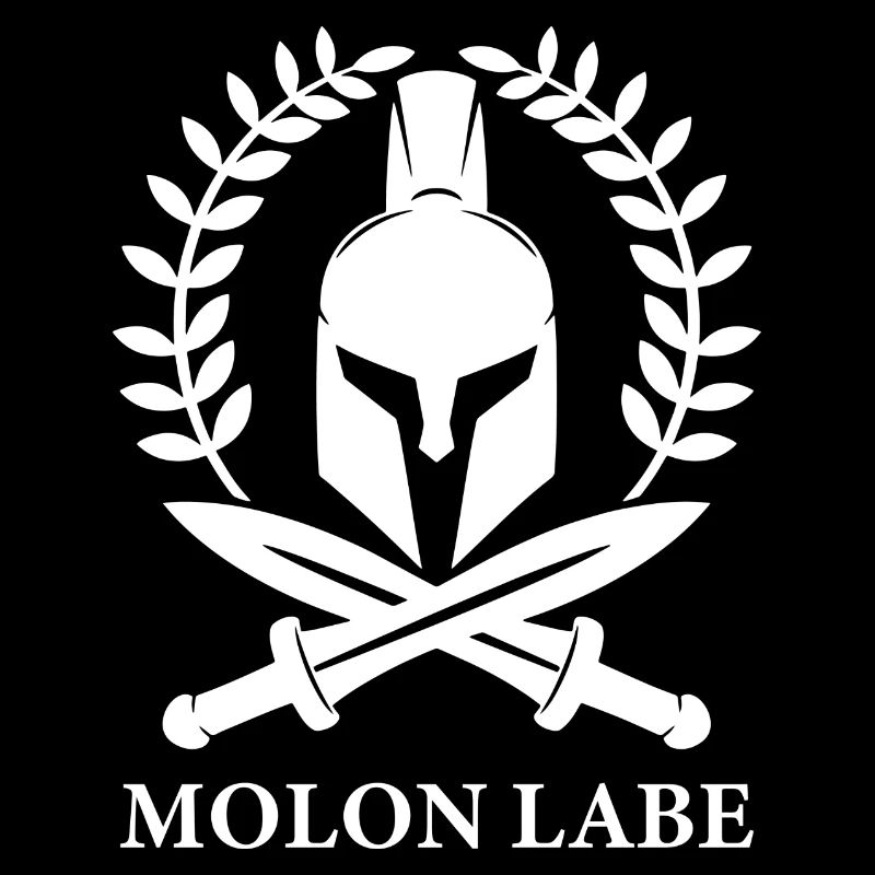 Molon Labe Sparta Geschenk Spartaner Helm Krieger