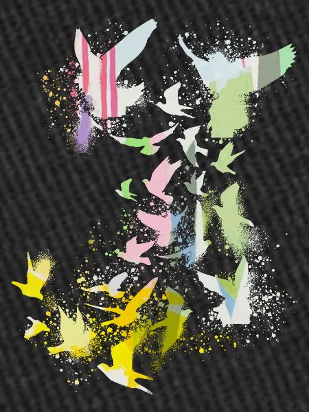 tauben,taube,vögel,vogelschwarm,graffiti,pastell