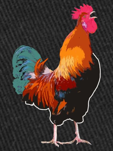 Le coq