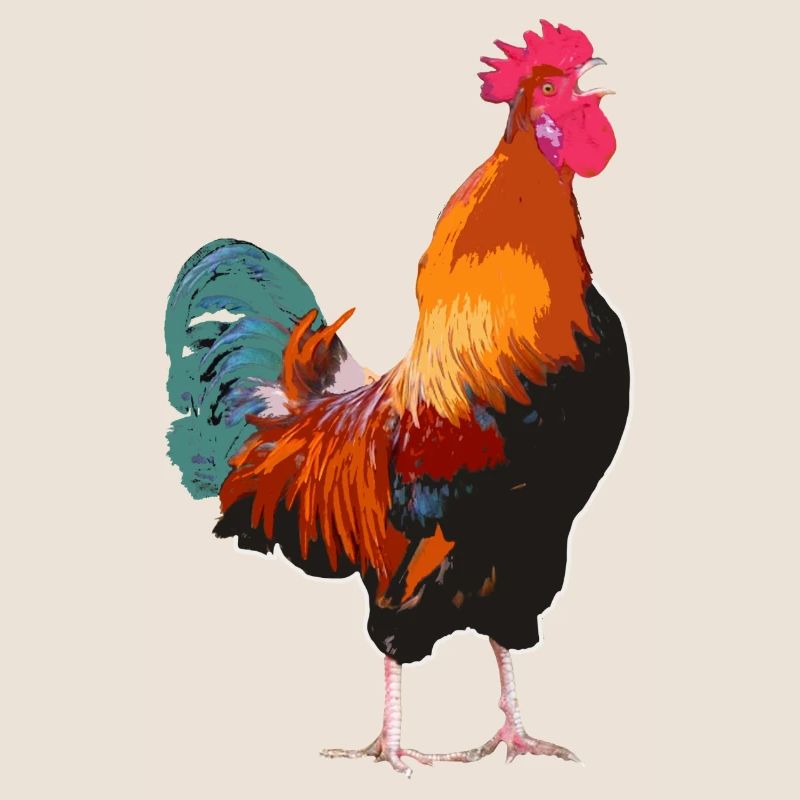 Le coq