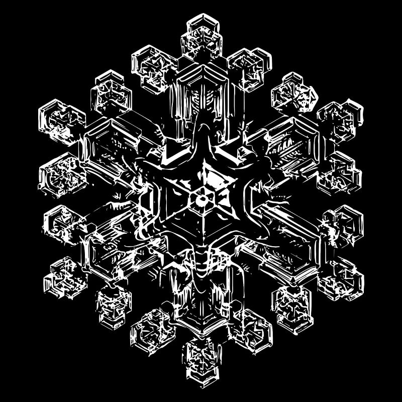 snowflake 9 white