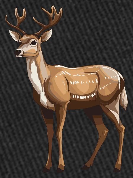 Animal cerf